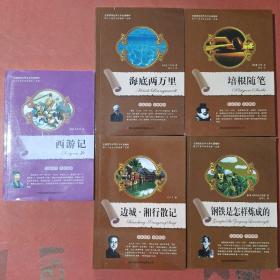 全面展现世界文学名著精粹：海底两万里，培根随笔，边城.湘行散记。钢铁是怎样炼成的。西游记共五本实拍图为准