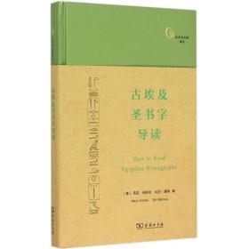 古埃及圣书字导读 宗教 (英)马克·科利尔(mark collier),(英)比尔·曼利(bill manley) 著;陈永生 译 新华正版