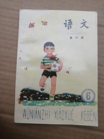 五年制小学课本语文第六册，库存书未使用