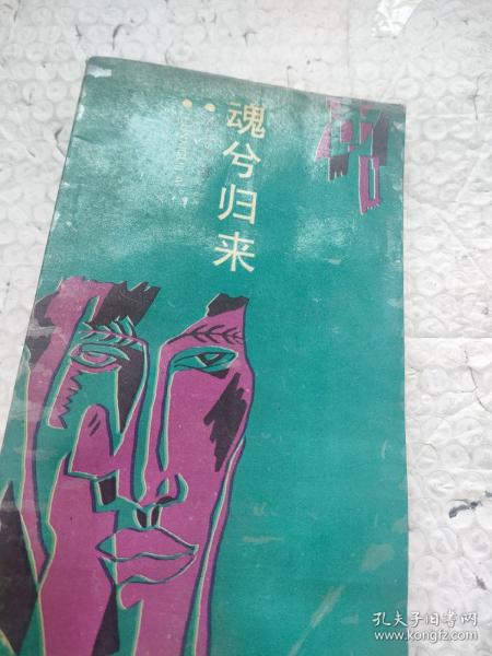 魂兮归来作者：朱正义 著出版社：辽宁教育出版社出版时间：1991装帧：