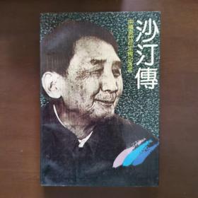 中国现代作家传记丛书：沙汀传（没有笔记印章划线）