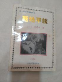 西地平線