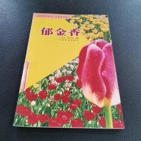 郁金香
