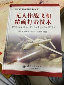无人飞行器作战系统与技术丛书：无人作战飞机精确打击技术