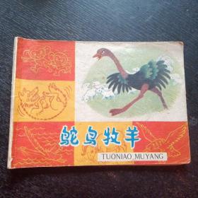 彩色连环画《鸵鸟牧羊》（包邮）