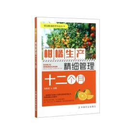 柑橘生产精细管理十二个月/果园精细管理致富丛书