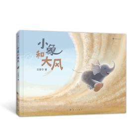 全新正版 小象和大风 王亚宁 9787540789770 漓江