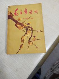 毛主席诗词学习
