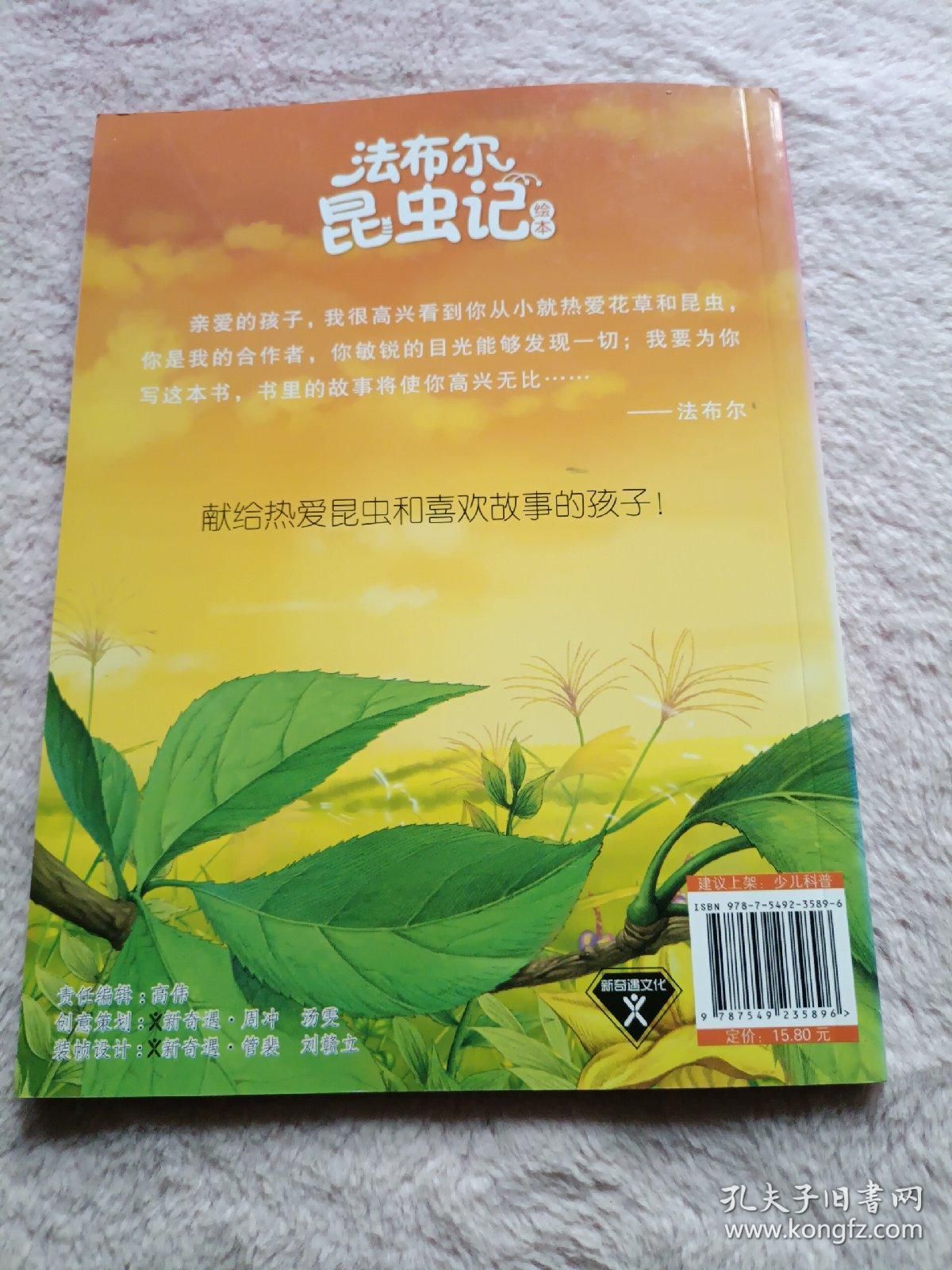 昆虫记蜜蜂篇 昆虫记蜜蜂篇好句