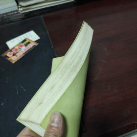 意拳索论：意拳（大成拳）进阶与点窍