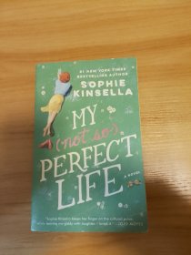 My Not So Perfect Life：A Novel
