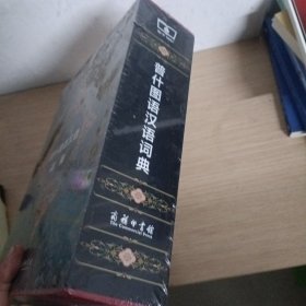 普什图语汉语词典 未拆封