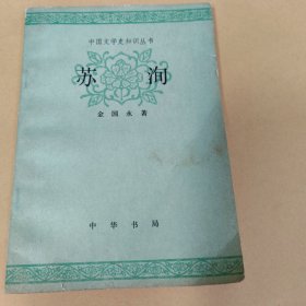 苏洵 中国文学史知识丛书