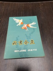 北京金鱼