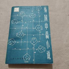 外国中篇小说 第三卷