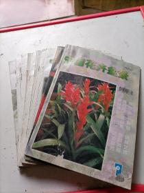 中国花卉盆景1999年全年12本合售
