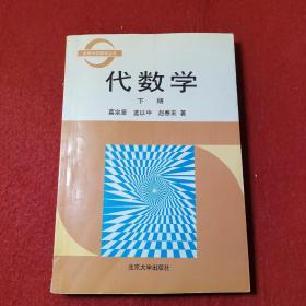 北京大学数学丛书：代数学 下册