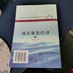 城市聚焦经济:一般理论及其对中国城市化问题的应用分析