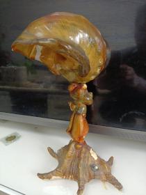 天然大海螺貝螺工藝臺燈（不知名的五彩大海螺15厘米*14厘米-及六爪螺-蝸牛螺）