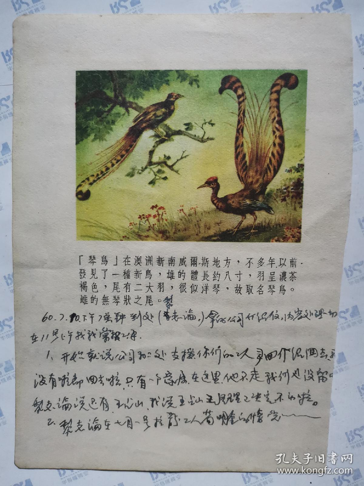 笔记本内页画:琴鸟,鼹(1张双面)11x