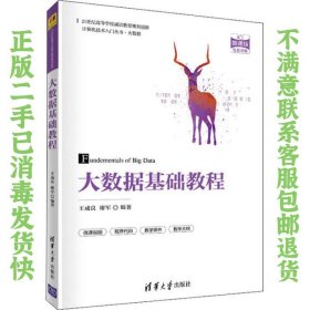 二手正版大数据基础教程 王成良廖军 清华大学出版社
