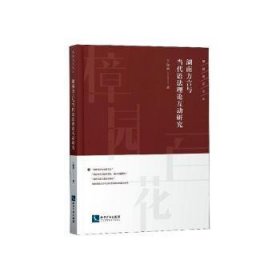 湖南方言与当代语法理论互动研究 丁加勇 9787513066723 知识产权出版社