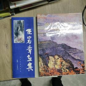 王岩章画集