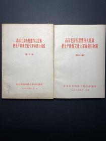 高举毛泽东思想伟大红旗把无产阶级文化大革命进行到底（第十集、第十一集）2册合售