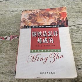 钢铁是怎样炼成的