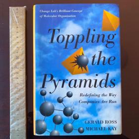 Toppling the pyramids redefining the way companies are run concepts molecular organization 英文原版精装