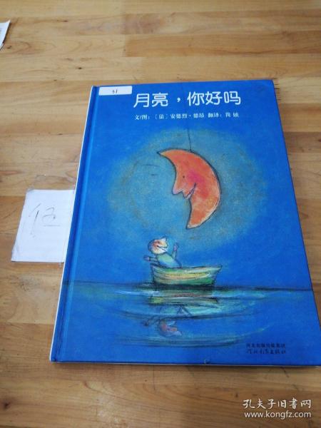 月亮,你好吗