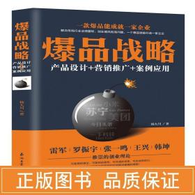 战略 产品设计+营销推广+案例应用 化工技术 杨大川 新华正版