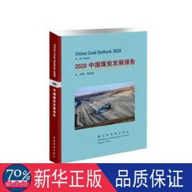 2020中国煤炭发展报告 财政金融 贺佑国