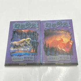 幻想纪元：赤龙军战记之野望篇（上下）