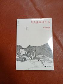 月光落在左手上：余秀华诗集