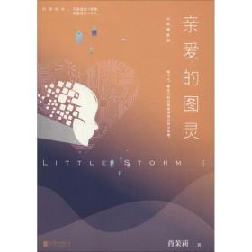 小风暴 2 亲爱的图灵肖茉莉北京联合出版公司