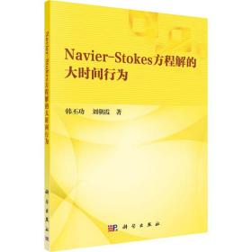 navier-stokes方程解的大时间行为 基础科学 韩丕功,刘朝霞 新华正版