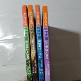 绝地求生少年闯关系列（1-4册）