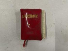 毛泽东思想胜利万岁（人像、题词齐全）