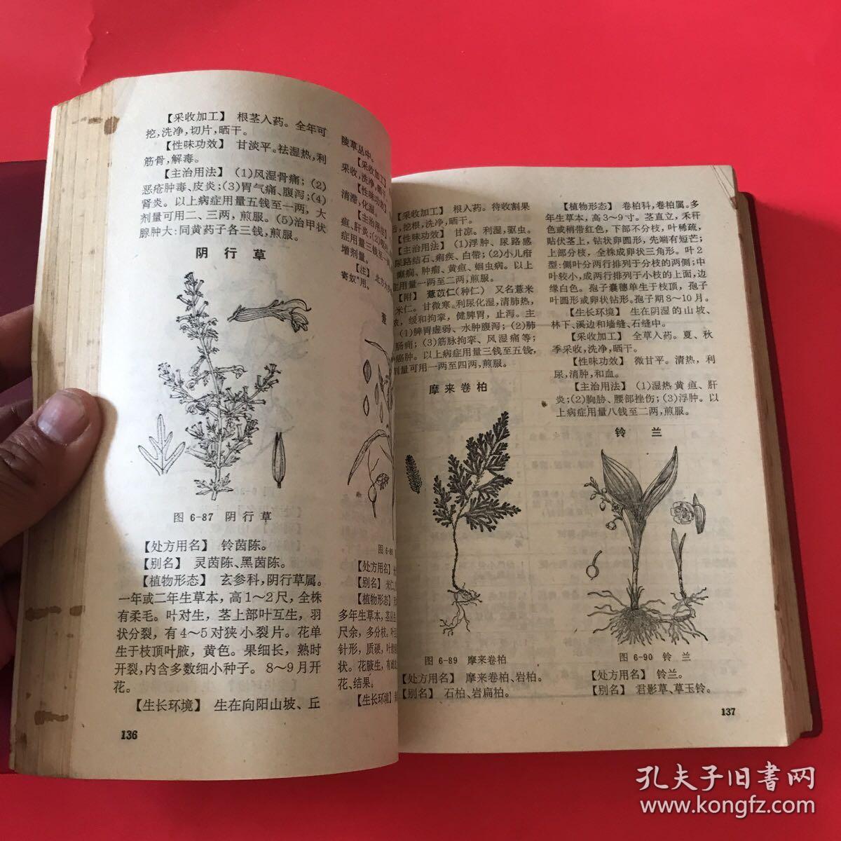 赤脚医生手册修订本