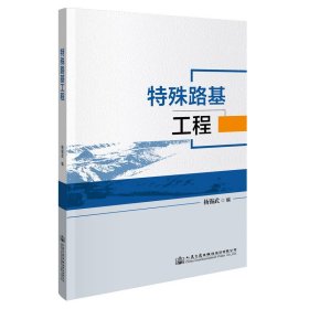 特殊路基工程 9787114175220 杨锡武 人民交通出版社