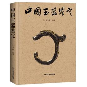中国玉器鉴定 古董、玉器、收藏 岳峰 新华正版