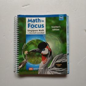 Mathin Focus 4 A  活页