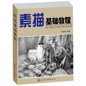 素描基础教程 美术技法 张恒国 等 新华正版