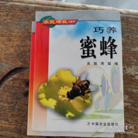 巧养蜜蜂——农民增收口袋书