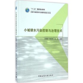 【正版书籍】小城镇水污染控制与治理技术