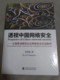 透视中国网络安全