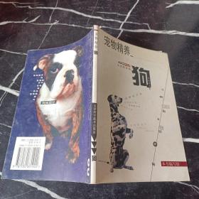 寵物精養.狗