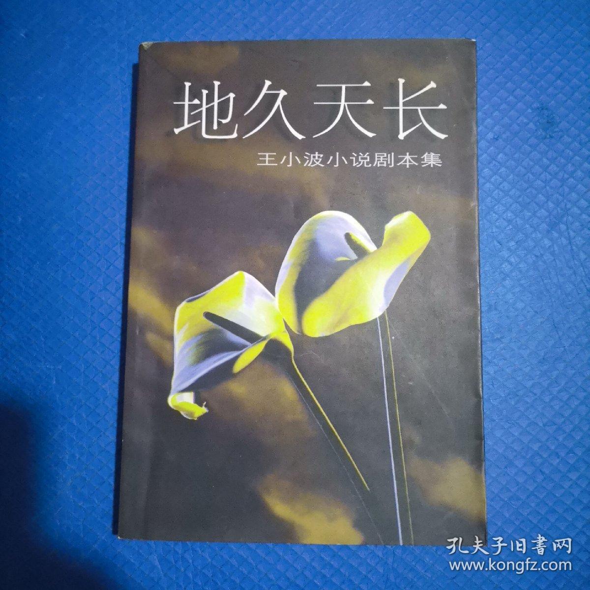 地久天长王小波小说剧本集292