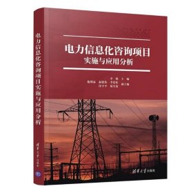 正版 电力信息化咨询项目实施与应用分析 9787302548591 清华大学出版社